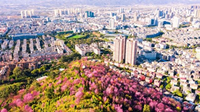 介紹玉溪的導(dǎo)游詞200字_玉溪導(dǎo)游協(xié)會(huì)_介紹玉溪的導(dǎo)游詞