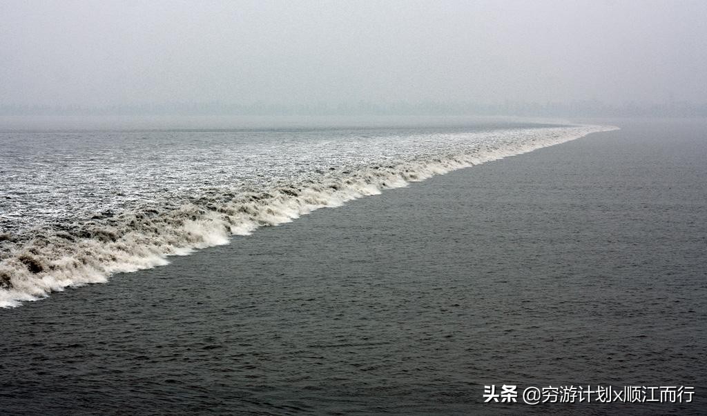 錢塘江的導游_錢塘江導游詞怎么寫300字_關于錢塘江的導游詞