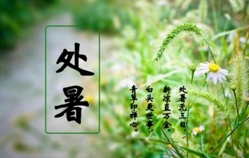 處暑節氣的含義是什么意思