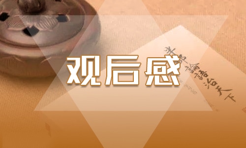 學(xué)習(xí)雷鋒精神觀后感400字作文